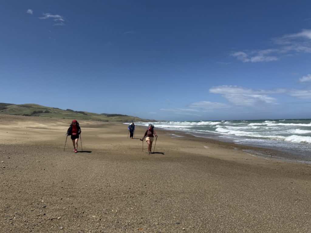 Tihaka beach, Colac BayDec 10 2025