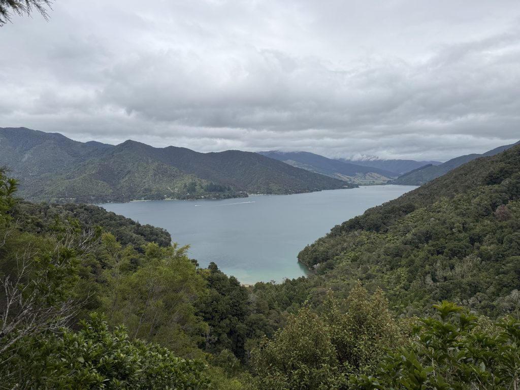 Onahau Bay feb 14 2026